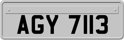 AGY7113