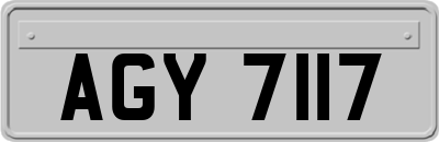 AGY7117