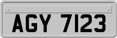 AGY7123