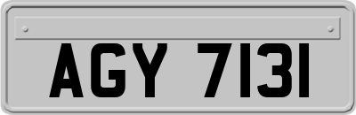 AGY7131