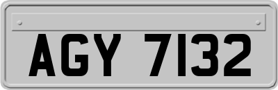 AGY7132