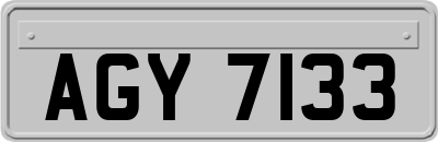 AGY7133
