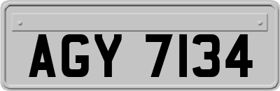 AGY7134