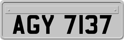 AGY7137