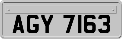 AGY7163