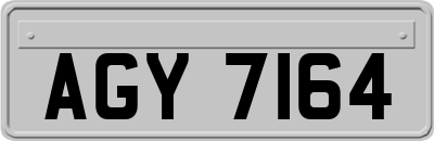 AGY7164