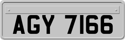 AGY7166
