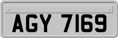 AGY7169