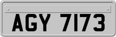 AGY7173