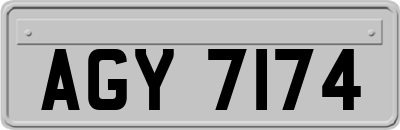AGY7174