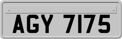 AGY7175