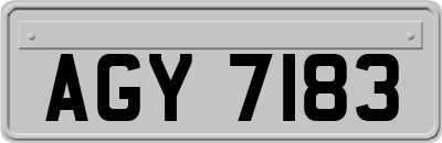 AGY7183