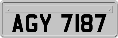 AGY7187