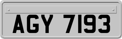 AGY7193