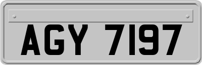 AGY7197
