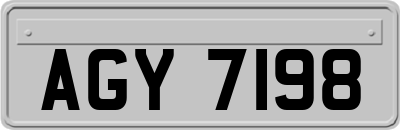 AGY7198