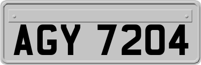 AGY7204