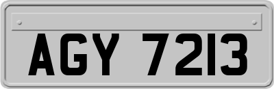 AGY7213