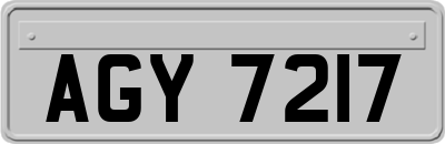 AGY7217