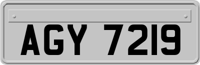 AGY7219