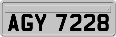 AGY7228