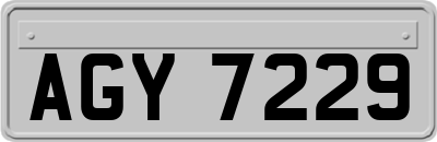 AGY7229