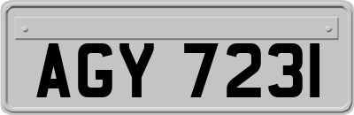 AGY7231
