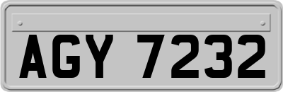 AGY7232
