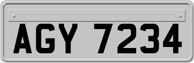 AGY7234