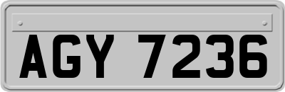 AGY7236