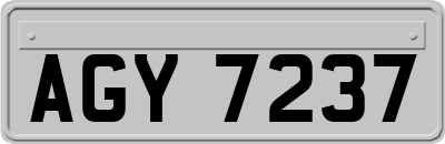 AGY7237