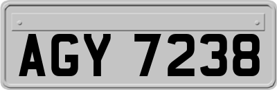 AGY7238