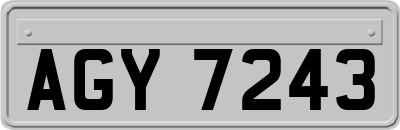 AGY7243