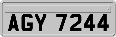 AGY7244
