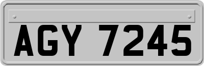 AGY7245