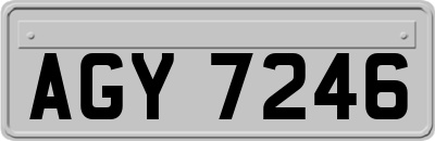 AGY7246