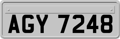 AGY7248