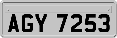 AGY7253