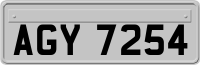AGY7254