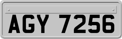 AGY7256