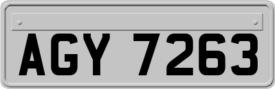 AGY7263