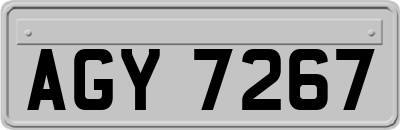 AGY7267