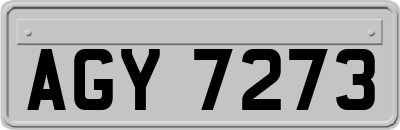 AGY7273