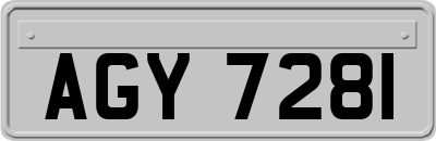 AGY7281