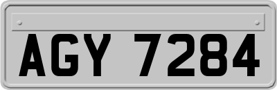 AGY7284