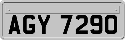 AGY7290