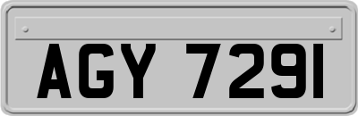 AGY7291