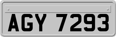 AGY7293