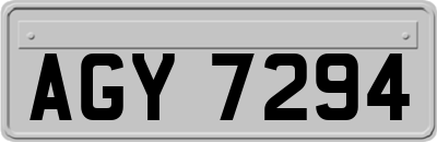 AGY7294