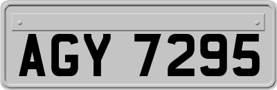 AGY7295
